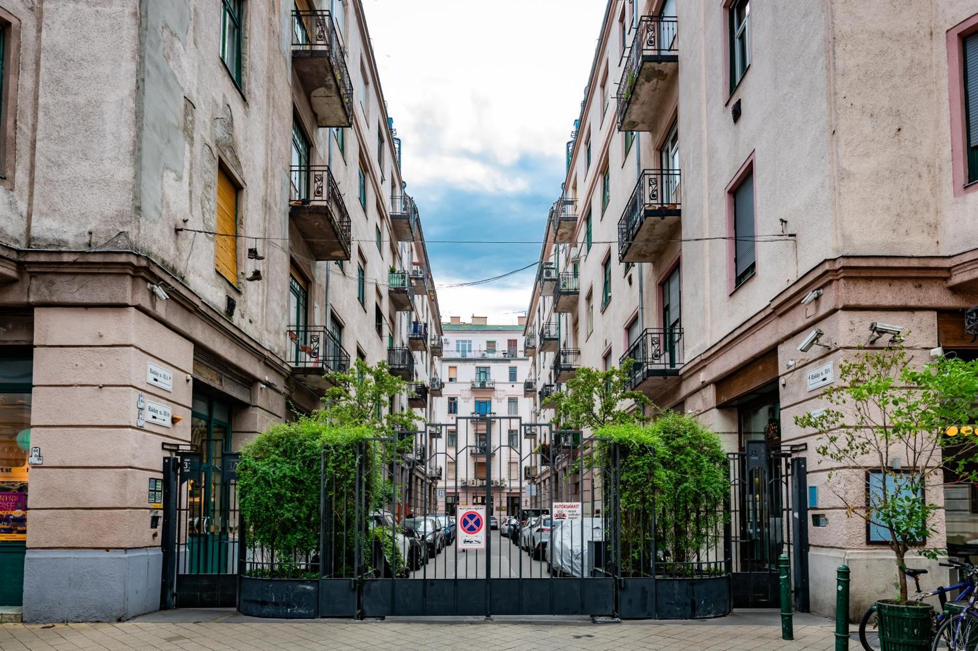 Jungle Aesthetics Downtown Apartman Aircon And Garage Parking بودابست المظهر الخارجي الصورة