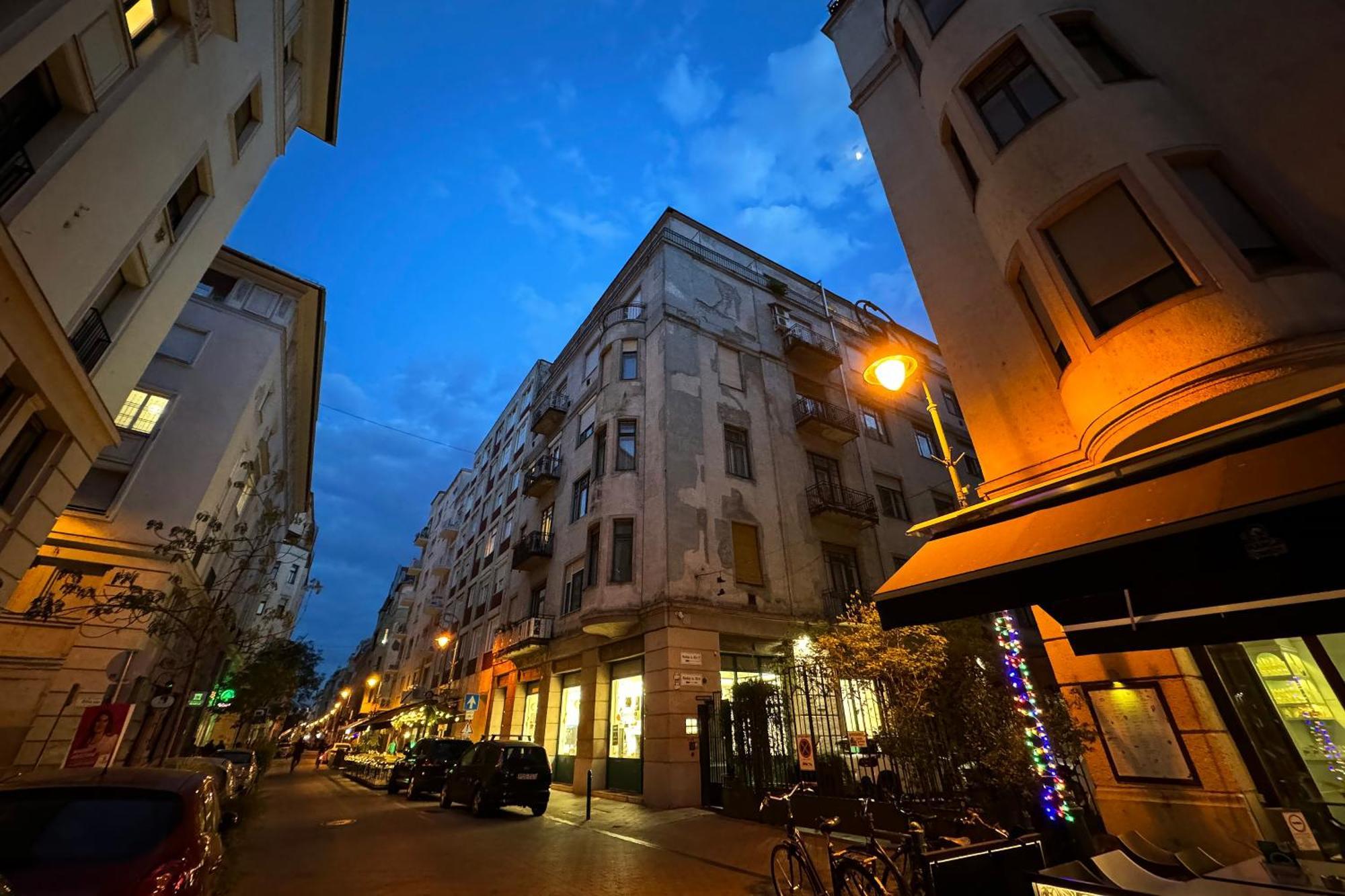 Jungle Aesthetics Downtown Apartman Aircon And Garage Parking بودابست المظهر الخارجي الصورة